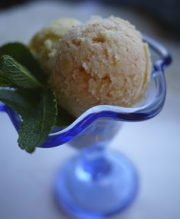 Homemade Sorbet