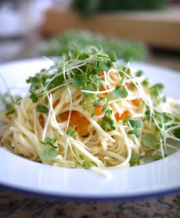 IKURA SALMON EGGS & ANGEL HAIR